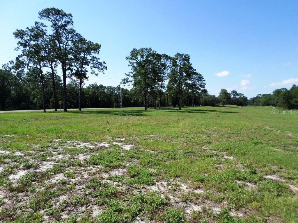 18 Hold Golf Course on 215 Acres of Land For Sale near Ocala $5,900,000