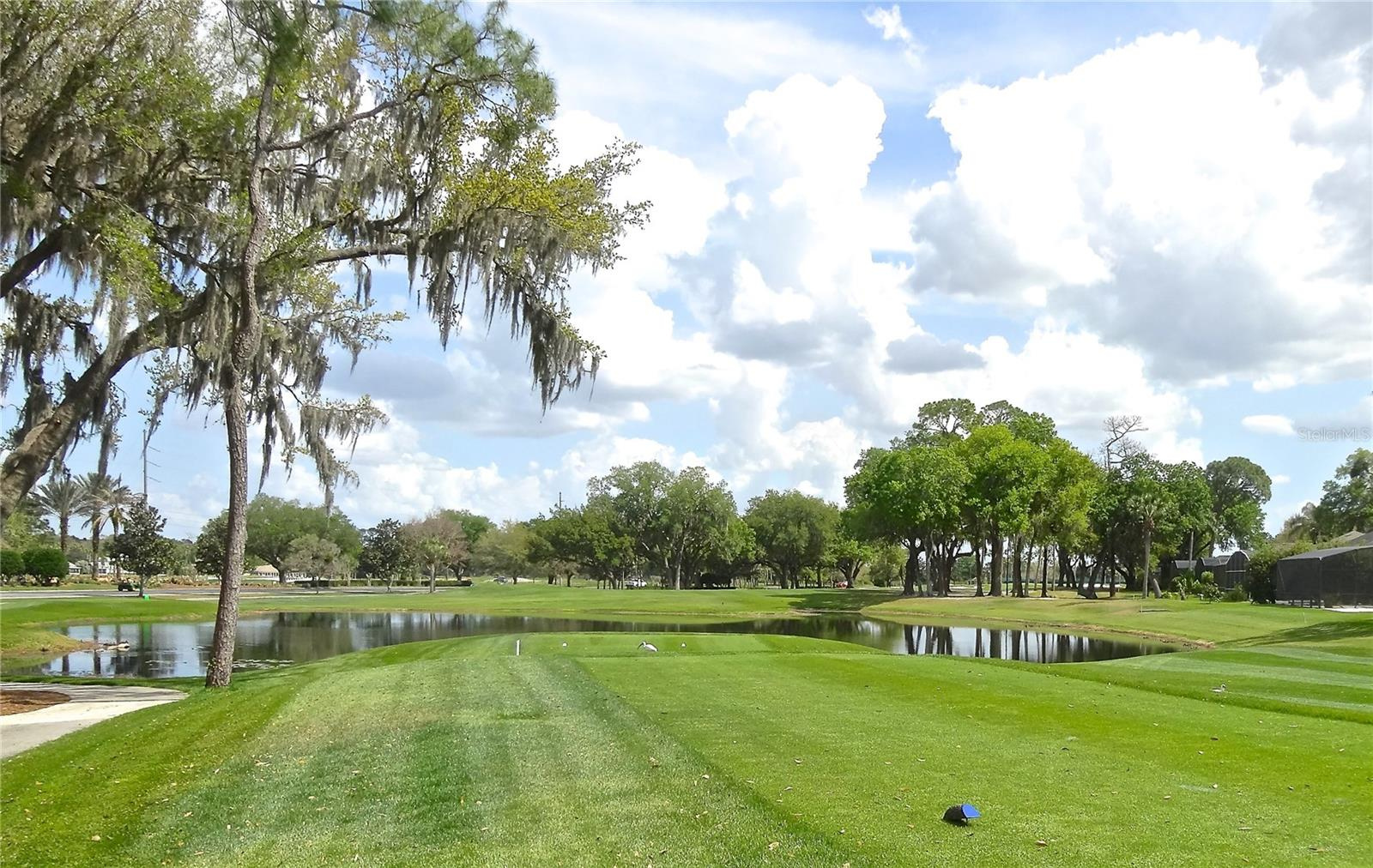 202 Acre Golf Course For Sale Near Disney World $8,721,500 202 Acre Golf Course For Sale Near Disney World $8,721,500